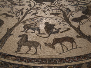 Solo in Morocco - mosaics in Volubilis