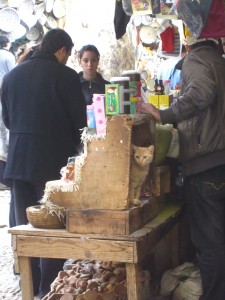 Solo in Morocco - a cat in a souk in Fez